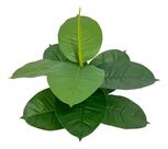 Buquê De Planta Ficus Lyrata 9 Folhas Artificial Decoração