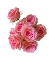 Buquê De Rosa Grande Artificial Com 9 Flores YT009