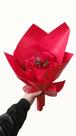 Buque De Rosas Vermelhas 5 Botões Buque De Flores