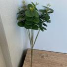 Buque eucalipto grande verde premium