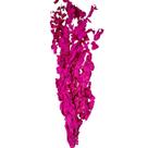 Buquê Eucalipto Pink Desidratado Seco Para Arranjo Decoração