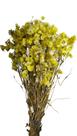 Buque Flor De Margarida Amarela Rodante Arranjo Floral Buque Flor De Margarida Amarela Rodante Arranjo Floral