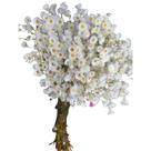 Buque Flor Margarida Branco Rodante Arranjo Floral Decoração