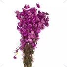 Buque Flor Margarida Roxo Rodante Arranjo Floral Decoração