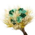 Buque Flor Seca Desidratada sementinha Verde Decoração