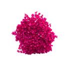Buquê Flores Sempre Viva Desidratadas Florzinhas Secas Maço com 600 Flores Decorações Lembrancinhas Eventos Buquê Flores Sempre Viva Desidratadas Florzinhas Secas Maço com 600 Flores Decorações Lembrancinhas Eventos
