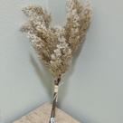 Buque grass ramalhete com fita x2 creme outono 53cm