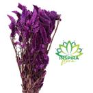 Buque Maço Celosia Rabo De Gato Flores Desidratadas