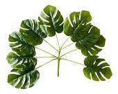 Buque Mini Costela De Adão Plantas Artificiais Decoração