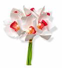 Buque Orquidea Cymbidium - Mix Rose 31cm