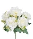 Buquê peonia x5 creme Buquê peonia x5 creme