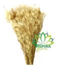 Buque Pluma Pampas Grass Luxo Arranjo Elegante Decoração Lar