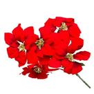Buque poinsetia vermelho 45 cm Buque poinsetia vermelho 45 cm