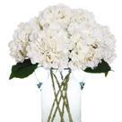 Buquês de flores de hortênsia de seda artificial, 6 peças - brancos