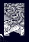 Buracos da Estranheza - 35 Anos da Carreira do Mestre do Horror