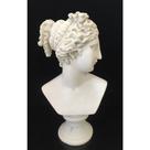 Busto Decorativo 31cm Poliresina Branca Deusa Formosa Busto Decorativo 31cm Poliresina Branca Deusa Formosa