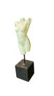 Busto Feminino Gesso