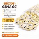 Búzios Gema GG 50g Conchas Naturais para Artesanato Búzios Gema GG 50g Conchas Naturais para Artesanato