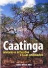 Caatinga : árvores e arbustos e suas utilidades.