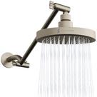 Cabeça de chuveiro SparkPod Round Rain com braço de extensão em níquel