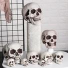 Cabeça De Esqueleto Humano Estilo Halloween, Todos Os Tamanhos, Adereço Fotográfico, Decoração Para Cabeça De Esqueleto Humano Estilo Halloween, Todos Os Tamanhos, Adereço Fotográfico, Decoração Para