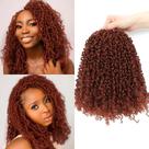 Cabelo de crochê Aksice Prelooped Yanky Twist 10 polegadas, 8 pacotes, 8 pacotes, cabelo de crochê Bohemian Passion Twist Spring Mini Twist para mulheres negras, tranças de crochê boho sintéticas (350 ) Cabelo de crochê Aksice Prelooped Yanky Twist 10 polegadas, 8 pacotes, 8 pacotes, cabelo de crochê Bohemian Passion Twist Spring Mini Twist para mulheres negras, tranças de crochê boho sintéticas (350 )