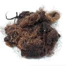 Cabelo de Milho 1Kg (Stigma maydis)