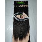 Cabelo Deep Curly - Cherey APLIQUEI ENTRELACE EM TELA Organico 300g