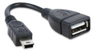 Cabo adaptador