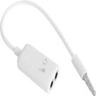 Cabo Adaptador P3 x P2 15cm Hontek - CB0375