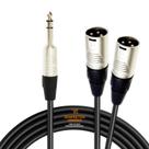 Cabo Áudio Blindado Y P10 Estéreo XLR Macho Duplo 1 Metro