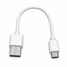 Cabo Carregador Tipo C Usb 18cm - Branco