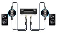 Cabo de alto-falante SVS SoundPath Ultra Bi-Wire de 6 m com espadas