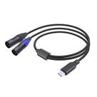Cabo de áudio USB C para Dual XLR SZLLiyxs para amplificador de 10 pés