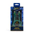 Cabo de Carregamento iWill Harry Potter Sonserina USB-C para USB-C Verde Cabo de Carregamento iWill Harry Potter Sonserina USB-C para USB-C Verde
