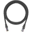 Cabo De Rede 2,5 Metros Patch Cord Cat6 UTP 100% Cobre Cinza Internet
