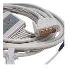 Cabo Ecg 11 Vias Clip Jacaré Micromed Wincardio - 15 Pinos