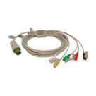 Cabo Ecg 5 Vias Garra Biolight M700 12 Pinos Cabo Ecg 5 Vias Garra Biolight M700 12 Pinos
