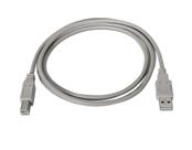 Cabo Impressora Usb 2.0 A Macho x B Macho 2 mts BL-IBM-A-B-6