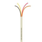 Cabo Manga 4X22 AWG - sem Blindagem Bege - 40 Metros Cabo Manga 4X22 AWG - sem Blindagem Bege - 40 Metros