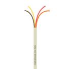 Cabo Manga 4X22 AWG - sem Blindagem Bege - 40 Metros