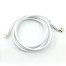 Cabo Mini Displayport Thunderbolt x Displayport de 2 Metros