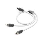 Cabo RCA Y Marinizado 7,62m JL Audio XMD-WHTAICY-1F2M