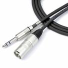Cabo Santo Angelo AC12 - 1P P10 x XLR Macho 1M Interface de Audio
