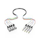 Cabo Snake PRORECK de áudio blindado de 4 canais TRS de 1/4" para XLR