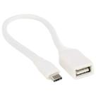 Cabo Tipo C Usb Femea 2.0 Transfere Dados Smartphone Para Teclado Pen Drive Hd Externo