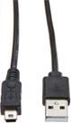 Cabo USB 2.0 AM X Mini USB M Maxprint 608532