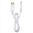 Cabo Vibrador Carregador Pino USB Carregador para vibrador - cabo para carregar vibrador