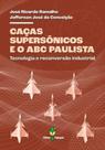 Caças Supersônicos e o ABC Paulista - PAPAGAIO