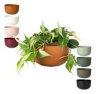 Cachepo Due N6 Cuia 21 Plantas Vasos Raiz 24cm - Cor Cachepo Due N6 Cuia 21 Plantas Vasos Raiz 24cm - Cor